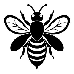 Honey Bee vector clean black silhouette design white background