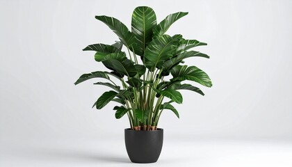 _Houseplant in a Pot Minimalist 3D Rendering in a Soft And Smooth Renderer. 