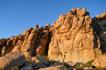 Sunlit rock formations in Joshua Tree National Park at golden hour.
