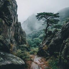 Misty mountain valley