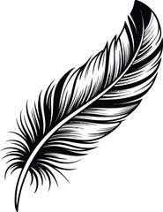 Obraz premium Black and white feather illustration quill bird
