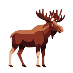 Obraz premium Majestic moose Alces alces illustration. Brown moose standing on white background. Moose image for wildlife posters and nature books.