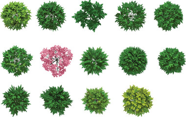 Top view trees collection, green and pink foliage, tree canopy textures, landscaping assets, botanical elements for garden, park, nature design