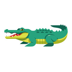 Obraz premium Cartoon alligator illustration with green skin and visible teeth on isolated background. Cartoon alligator for children's illustration, educational materials, and fun projects.