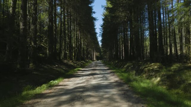 Forest walk towards singing sands beach on the Ardnamurchan peninsula
