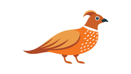Quail bird with rounded body and plume feather ideal for ground bird and wild game themes Vector illustration.