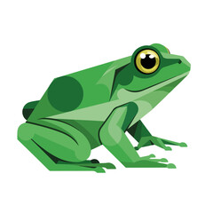 Obraz premium Isolated frog illustration of green frog, depicted with simple geometric shapes and bright colors. Frog illustration captures amphibian characteristics, ideal for educational material,