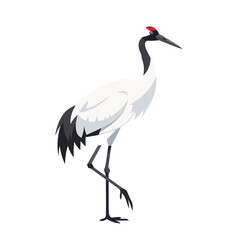 Obraz premium Standing red crowned crane with elegant plumage on white background, majestic bird in side view. Conservation effort focuses on this rare animal, also known as grus japonensis.