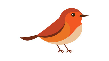 Robin bird with red chest and cheerful stance ideal for winter themes and seasonal bird art Vector illustration.