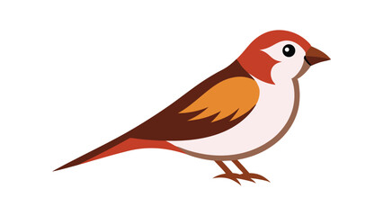 Sparrow bird in calm sitting pose ideal for everyday nature themes and common backyard birds Vector illustration.