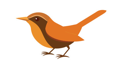 Wren bird with upright tail perched on branch ideal for small bird species and garden scenes Vector illustration.