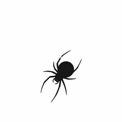 Halloween spider on clean white background, simple illustration. Halloween spider illustration can be used to create invitations.
