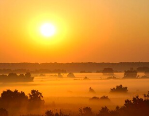 Obraz premium Golden sunrise over a misty, tranquil landscape, illuminating trees and fog-covered fields.