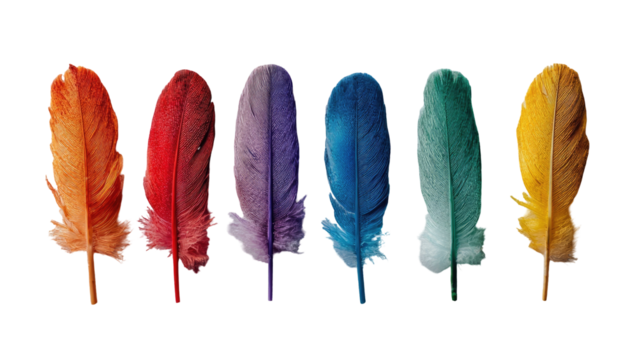Colorful bird feathers in a spectrum of hues