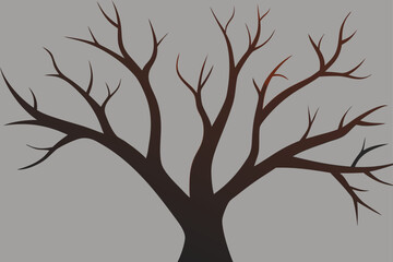 bare tree branches reaching into grey winter dawn sky