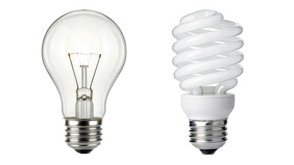 Comparing an incandescent light bulb with a compact fluorescent lamp for energy efficiency