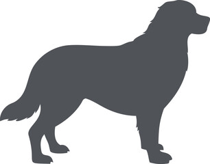 bernese mountain dog silhouette