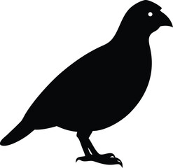 bird of quail silhouette 