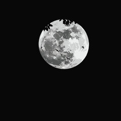 Detailed Full Moon with Birds Flying Across the Surface, Showing a Cosmic and Mysterious Scene with a Sense of Freedom, Vector Illustration

.