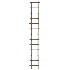Bamboo ladder