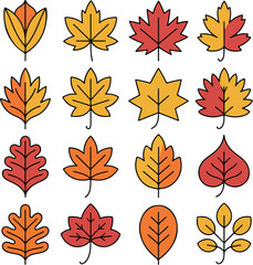 autumn leaves different trees doodle hand drawn icon set. Fall leave.
