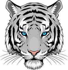 Majestic white tiger head with stunning blue eyes, a powerful vector illustration, symbol of strength, wildlife, and natural beauty.