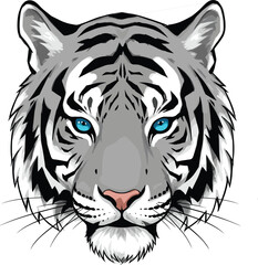 Majestic white tiger head with stunning blue eyes, a powerful vector illustration, symbol of strength, wildlife, and natural beauty.