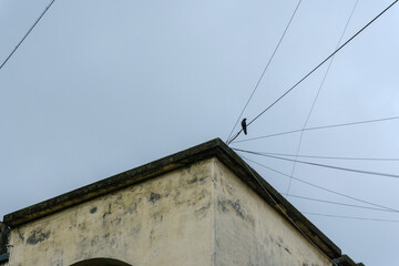 Weathered rooftop corner with electric wires against a cloudy sky, showcasing urban architecture and infrastructure.