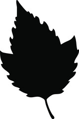 hazel leaf silhouette