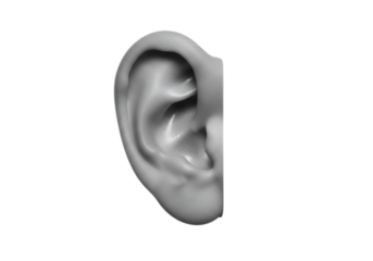 Illustration of closeup view of a human ear, isolated on transparent background