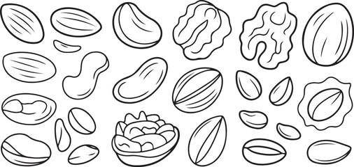 Hand-Drawn Nut and Seed Collection – Outlined Vector Set with Varied Sizes and Forms