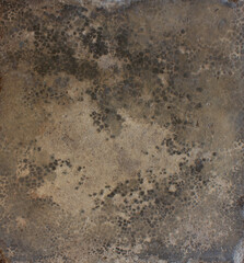 Cracked Dark Surface. Close-up of a dark cracked surface with fine web-like lines, evoking an aged or weathered appearance.