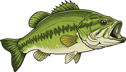 Green largemouth bass illustration, freshwater fish art, open mouth, detailed scales, fishing species, wildlife design, aquatic animal vector drawing