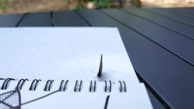 Small Moth Perched on Open Spiral Notebook Page Resting on Outdoor Slatted Table Close Up View