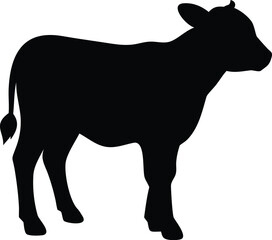 silhouette of a calf 