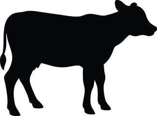 silhouette of a calf 