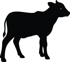 silhouette of a calf 
