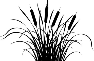 Vector art of silhouette of cattails and reeds isolated on white background