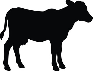 silhouette of a calf 