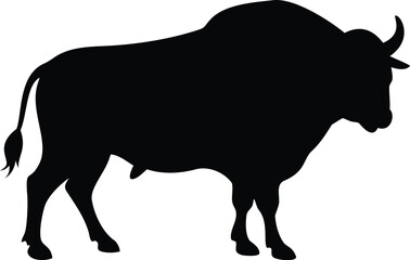 silhouette of a huge bull