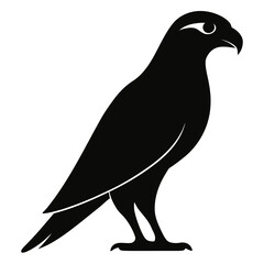 eagle on a white background