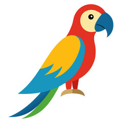 parrot on white background