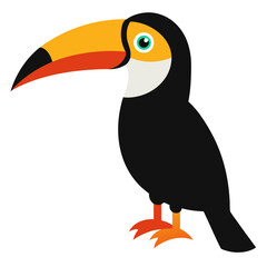 toucan on white background
