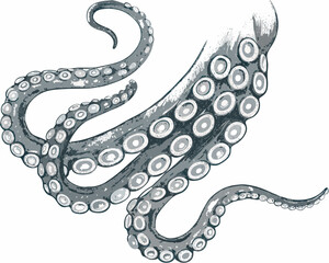 Obraz premium vector illustration of a dragon