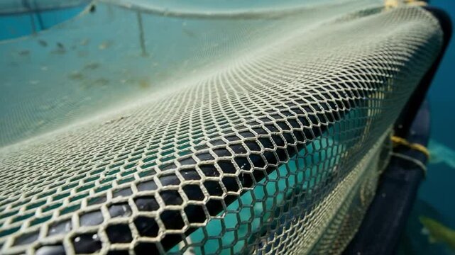Close-up of a fish farm net. Aquaculture cage for breeding fish in the sea. Industrial fishing and seafood production.