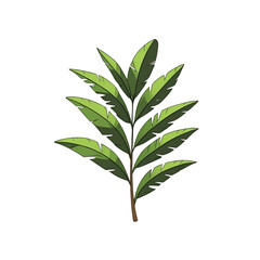 Fototapeta premium green leaf isolated on white background