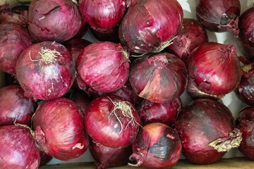 Bulbos de  cebollas rojas (moradas) colocadas  en  una caja