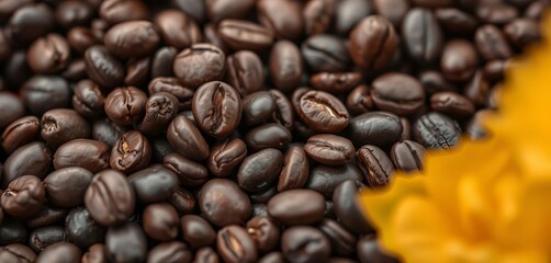 Obraz premium Dark roasted coffee beans, close-up texture shot, coffee beans background, detail