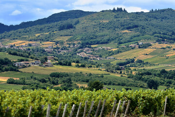 Région du Beaujolais