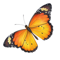 Beautiful monarch butterfly with vibrant orange and yellow wings isolated on transparent background